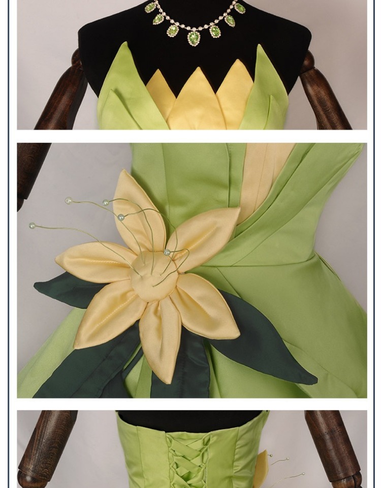 Princess Tiana Dress Cosplay C - Women Knight Accessories recensie en prijs