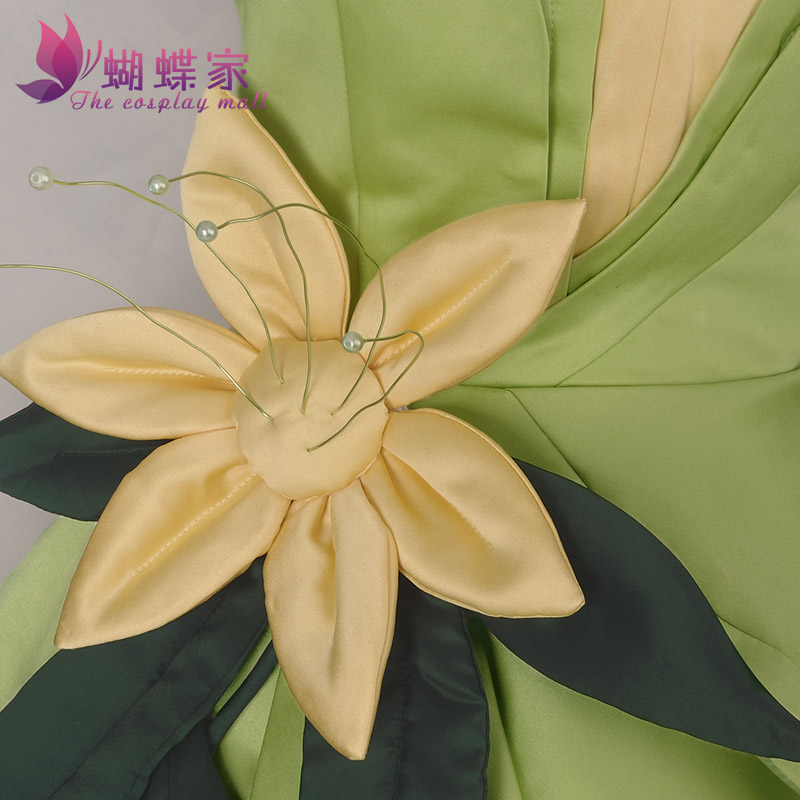Princess Tiana Dress Cosplay C - Women Knight Accessories recensie en prijs